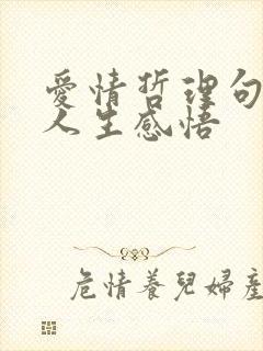 爱情哲理句子 人生感悟