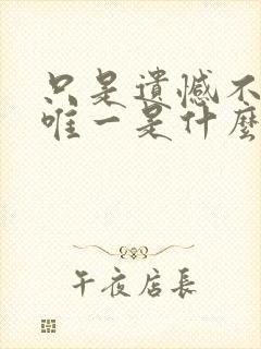 只是遗憾不是你唯一是什么歌