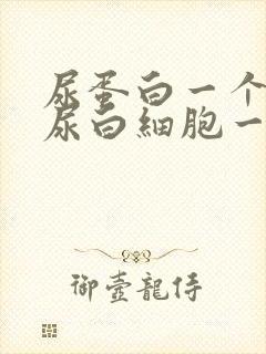 尿蛋白一个加号尿白细胞一个加号