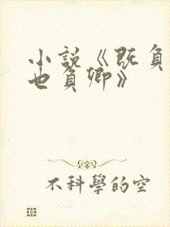 小说《既负如来也负卿》