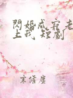 闪婚成宠老公爱上我 短剧