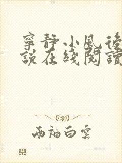 宁静小风后妈小说在线阅读无弹窗