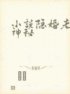 小说隐婚老公很神秘