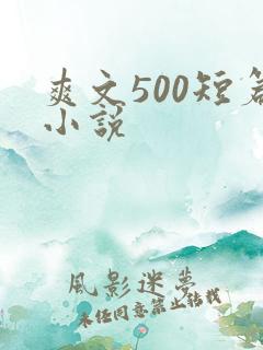 爽文500短篇小说
