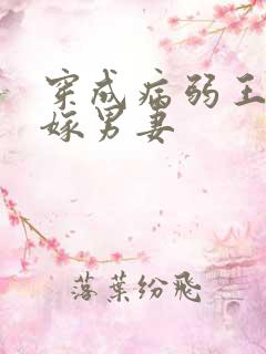 穿成病弱王爷替嫁男妻