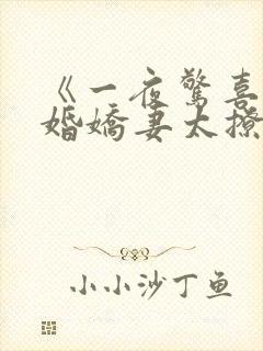 《一夜惊喜:闪婚娇妻太撩人》