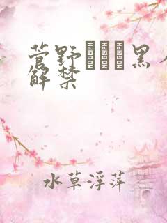 菅野みぃな黑人解禁