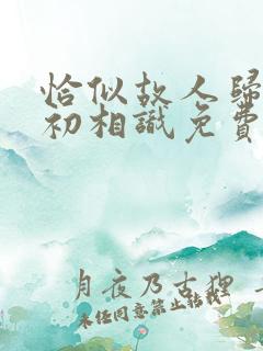 恰似故人归与君初相识免费看