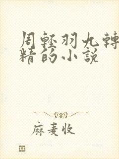 周轻羽九转不灭精的小说