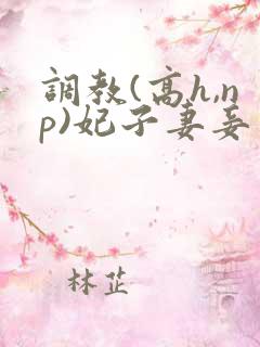 调教(高h,np)妃子妻妾