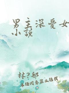 男主深爱女主的小说