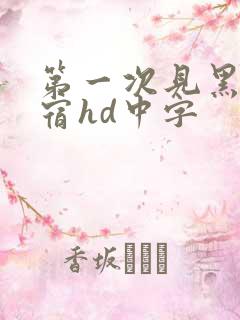 第一次见黑人借宿hd中字