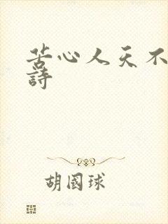 苦心人天不负全诗