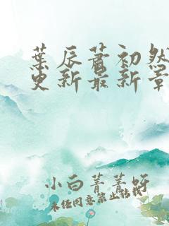 叶辰萧初然刚刚更新最新章节免费阅读全文