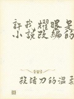 许我耀眼是什么小说改编的