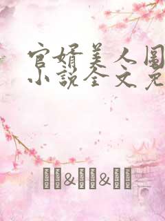 官婿美人图安江小说全文免费阅读