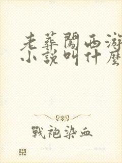 老葬闯西游原著小说叫什么名字