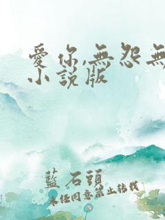 爱你,无怨无悔小说版