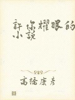 许你耀眼的原著小说