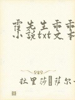 霍先生乖乖宠我小说txt文本下载