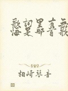 歌词里有无怨无悔是哪首歌