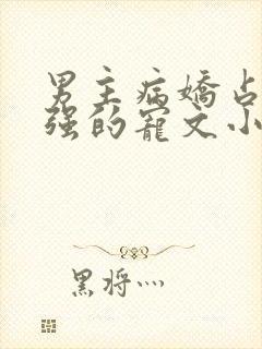 男主病娇占有欲强的宠文小说推荐