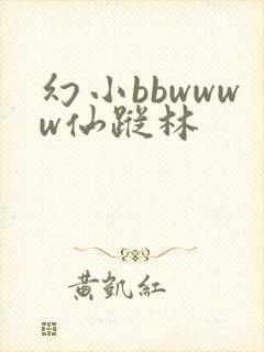 幻小bbwwww仙踪林