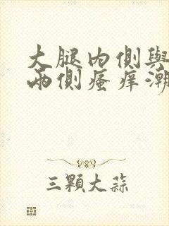 大腿内侧与阴囊两侧瘙痒潮湿发红怎么办