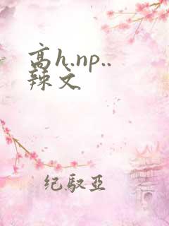 高h.np..辣文