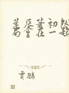 叶辰萧初然大结局会在一起吗