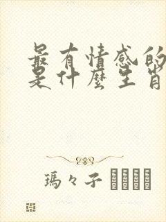 最有情感的动物是什么生肖