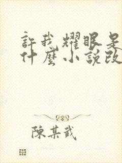 许我耀眼是根据什么小说改编