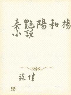 秦艳阳和杨飞的小说