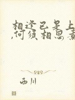 相逢已是上上签,何须相思煮余年怎么回复