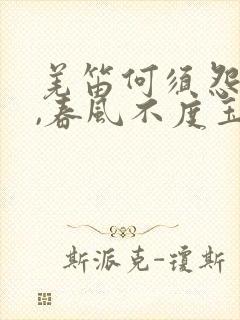 羌笛何须怨杨柳,春风不度玉门关地理