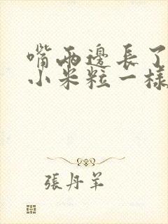 嘴两边长了很多小米粒一样的疙瘩