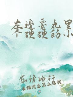 左边睾丸里面有个硬硬的小疙瘩还疼