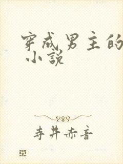 穿成男主的后妈 小说