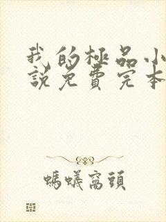 我的极品小姨小说免费完本