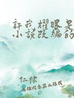 许我耀眼是什么小说改编的