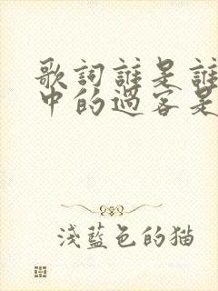 歌词谁是谁生命中的过客是什么歌