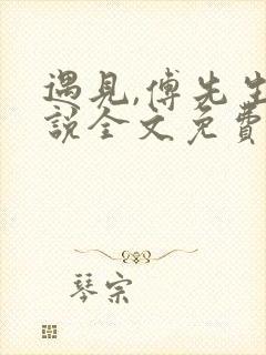 遇见,傅先生小说全文免费阅读