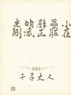 光明壁垒小说无删减正版在线阅读