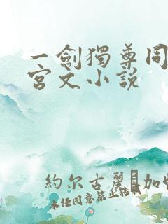 一剑独尊同人后宫文小说