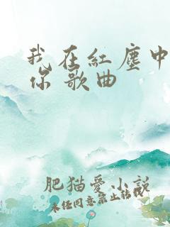 我在红尘中遇见你 歌曲