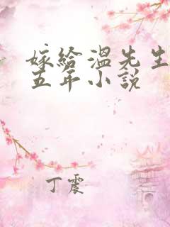 嫁给温先生的第五年小说