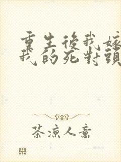 重生后我嫁给了我的死对头