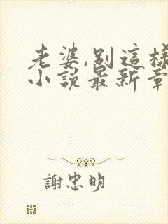 老婆,别这样 小说最新章节