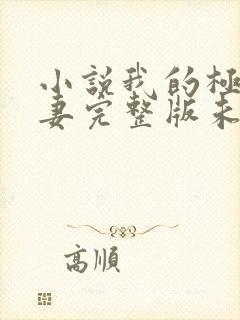 小说我的极品娇妻完整版未删减小说