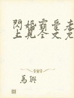 闪婚霸爱老婆晚上见全文免费阅读霸宠妻无度